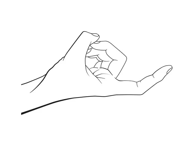 A Beginners Guide to Fingering